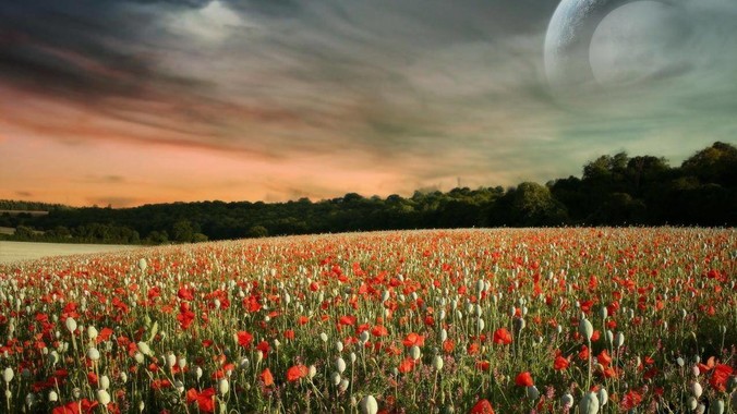 ***如古代长城用的是C140混凝土，那千百年下来会完整的留存至今还是损坏的更加严重？